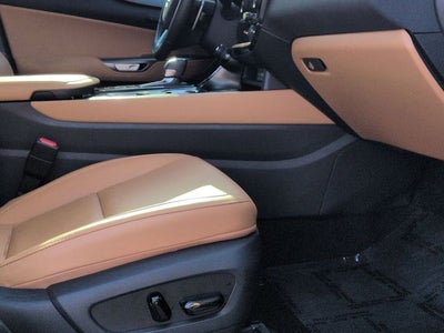 2025 Lexus NX 350 350 Premium