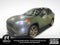 2025 Toyota RAV4 Hybrid Woodland Edition