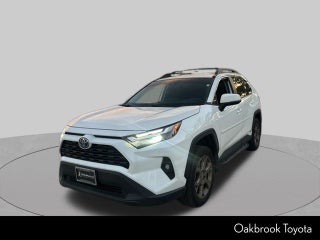 2023 Toyota RAV4 Hybrid Woodland Edition