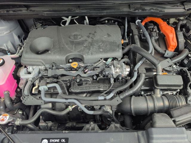2026 Toyota SIENNA XLE AWD Woodland Edition 7 Passenger