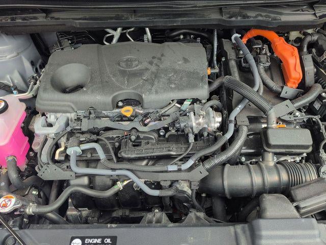 2026 Toyota SIENNA XLE AWD Woodland Edition 7 Passenger