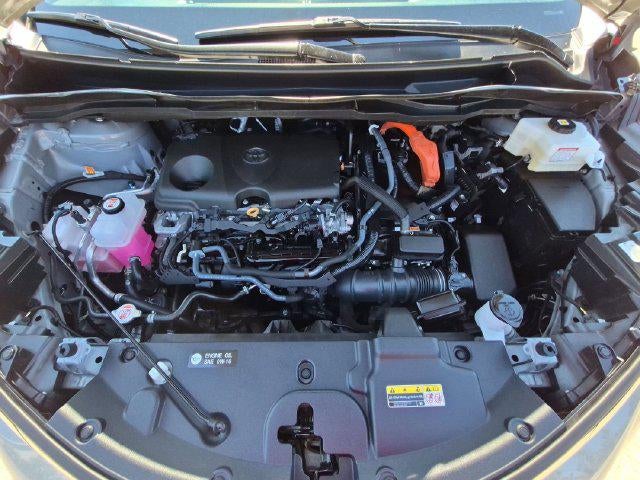 2025 Toyota Sienna XSE 7 Passenger