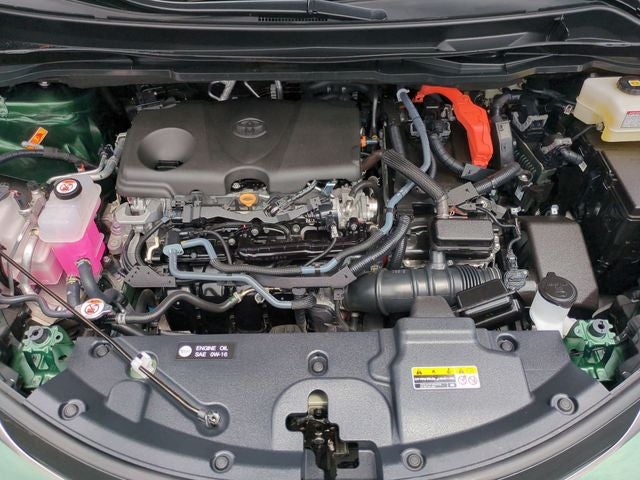 2025 Toyota Sienna Platinum 7 Passenger