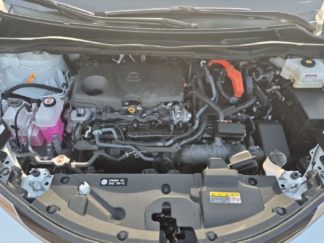 2025 Toyota Sienna Platinum 7 Passenger