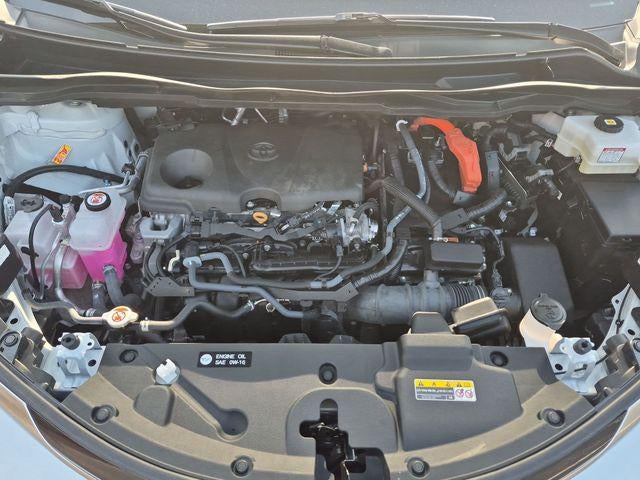 2025 Toyota Sienna Platinum 7 Passenger