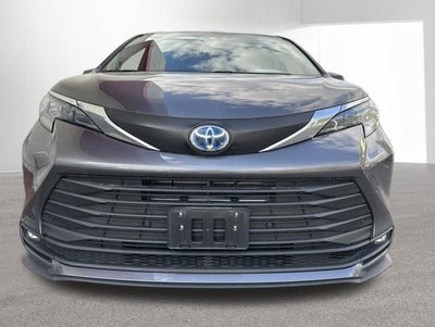 2025 Toyota Sienna XLE 7 Passenger