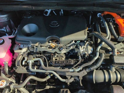 2025 Toyota SIENNA XLE AWD XLE 7 Passenger