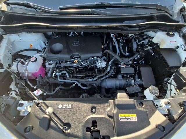 2025 Toyota Sienna LE 8 Passenger