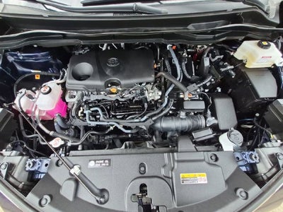 2025 Toyota Sienna XLE 8 Passenger