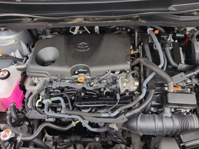 2025 Toyota SIENNA XLE XLE 8 Passenger