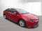 2021 Toyota COROLLA XLE