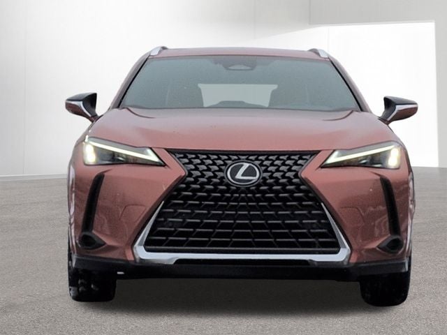 2025 Lexus UX300h PREM AWD 300h Premium