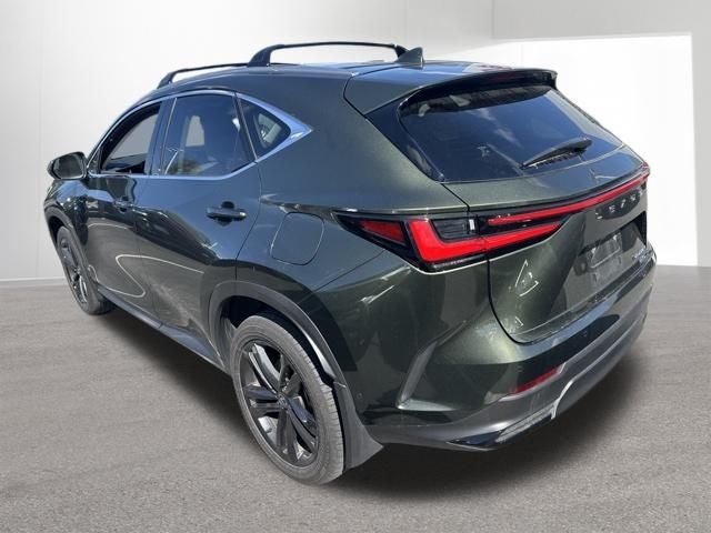 2025 Lexus NX 450h+ Luxury