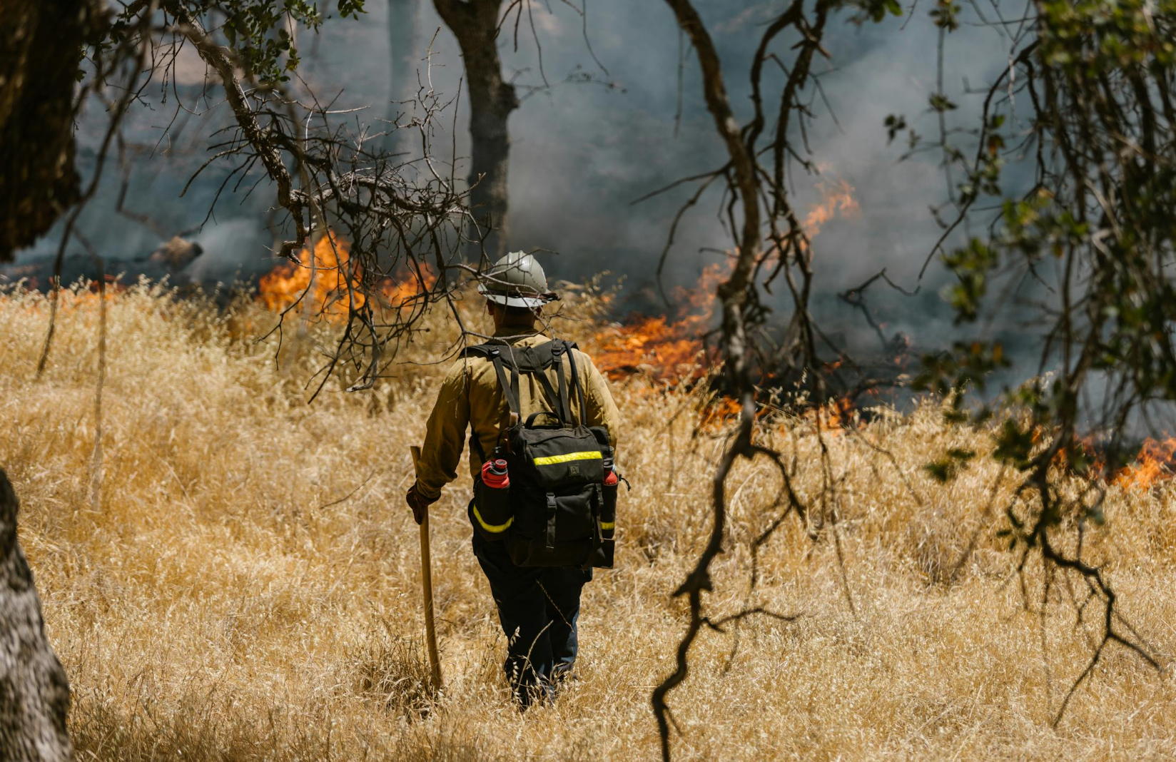 Firefighter in a wildfire in LA